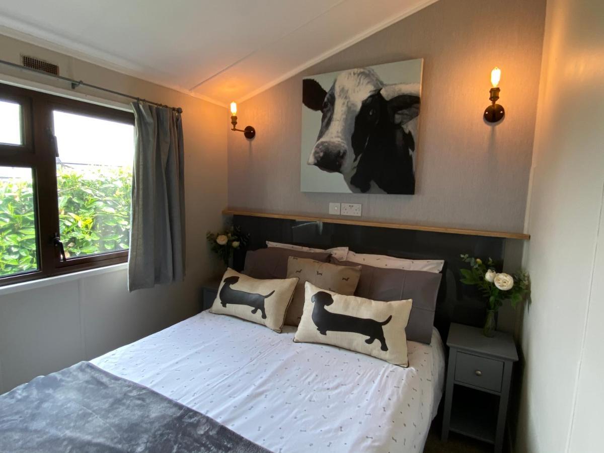 Rew Farm Country & Equestrian Accommodation - Sunrise Lodge Melksham Zewnętrze zdjęcie