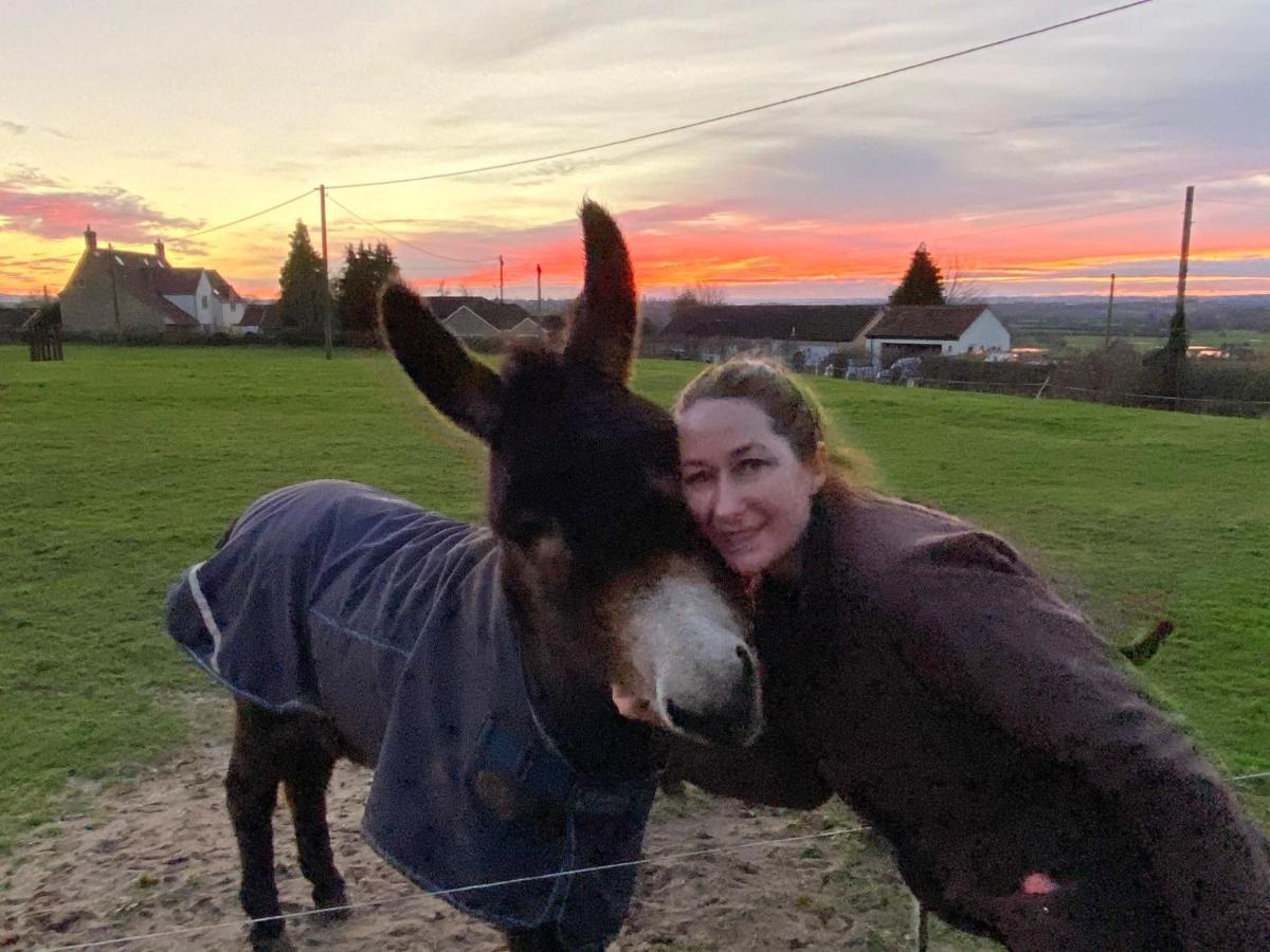 Rew Farm Country & Equestrian Accommodation - Sunrise Lodge Melksham Zewnętrze zdjęcie