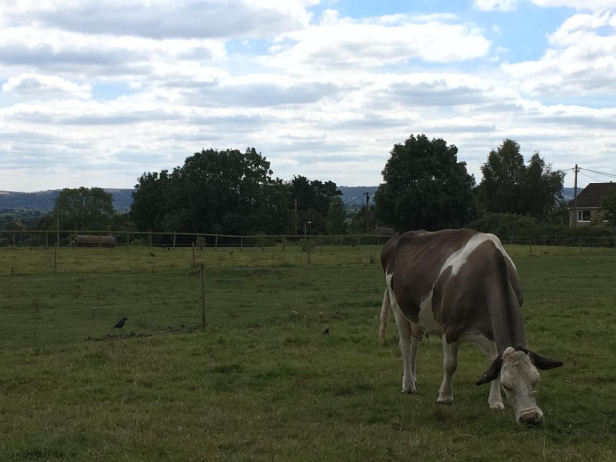 Rew Farm Country & Equestrian Accommodation - Sunrise Lodge Melksham Zewnętrze zdjęcie
