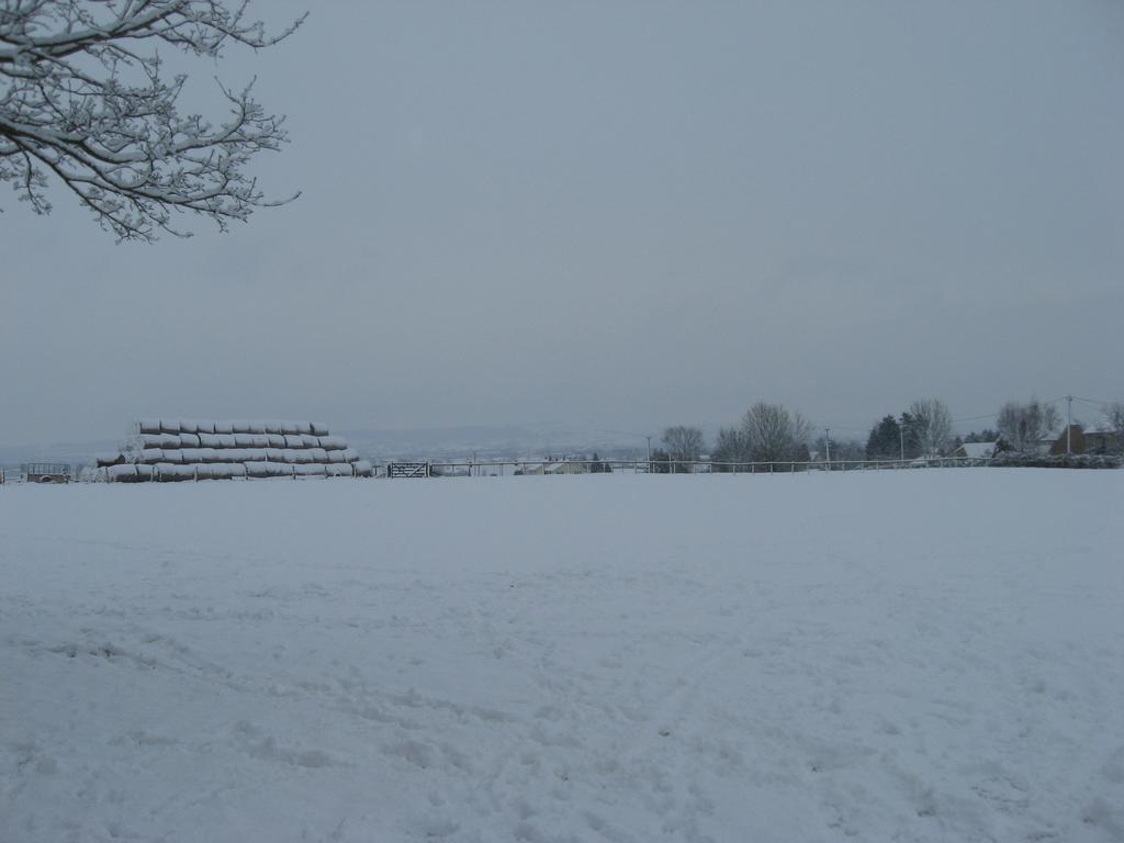 Rew Farm Country & Equestrian Accommodation - Sunrise Lodge Melksham Zewnętrze zdjęcie